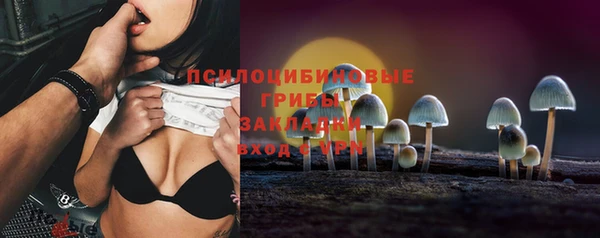 mdpv Армянск