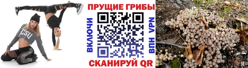 Псилоцибиновые грибы мицелий  где можно купить наркотик  Усинск 